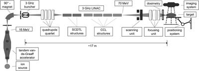 Preclinical Challenges in Proton Minibeam Radiotherapy: Physics and Biomedical Aspects